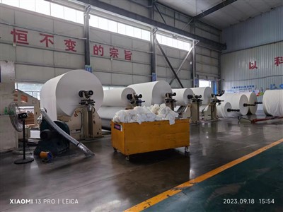 Carrier Tissue Rau Adult Diaper